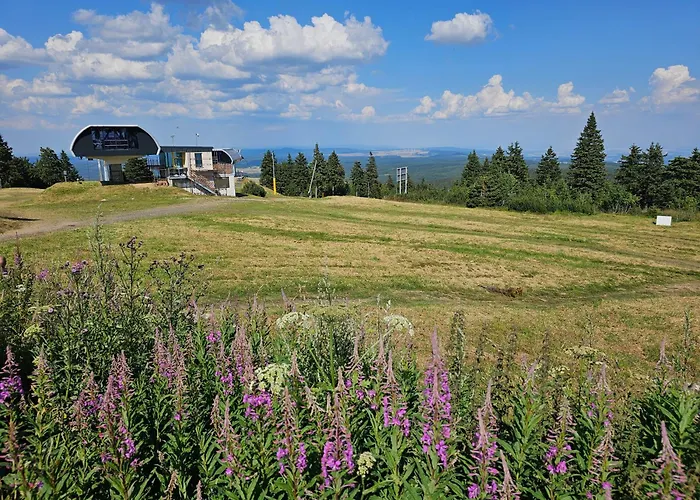 Apartman U Jelena